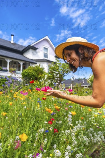 Woman wearing a straw hat is bending over a vibrant wildflower garden in chemainus, vancouver