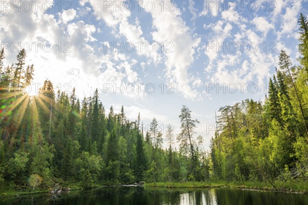 Idyllic forest landscape with calm lake surrounded by tall trees under a blue, slightly cloudy sky,