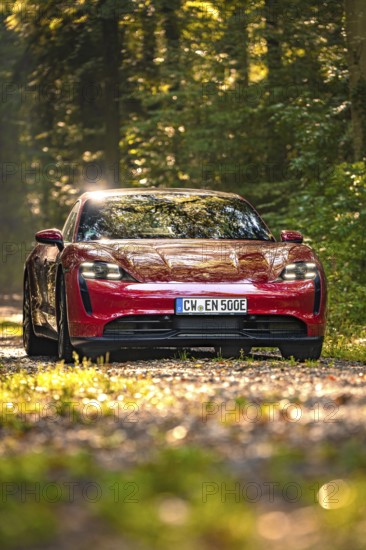 Red car in a forest with sunlight and green ambiance, Porsche Taycan, deer car sharing. Calw,