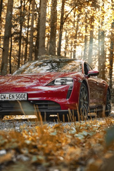 Red car in autumn forest with sunbeams on the license plate, Porsche Taycan, deer car sharing.