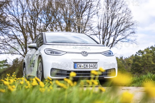 A white car is parked in a meadow with yellow flowers and bare trees, ID3 VW, deer car sharing.