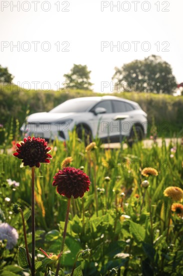 Car in background surrounded by blooming flowers in a meadow, relaxed summer day atmosphere, VW ID4