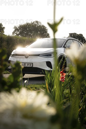 White car behind shade of blossoms, natural scene in sunlight, VW ID4 electric car, deer car