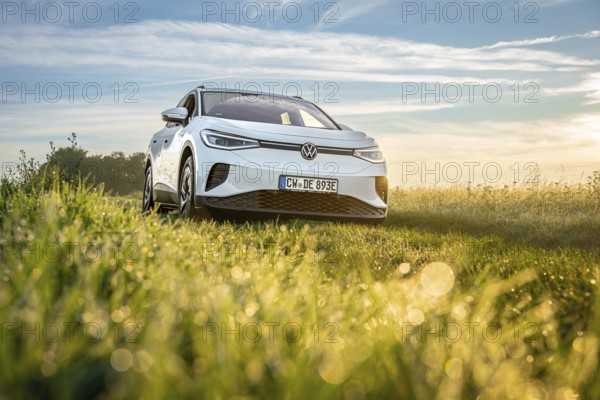 White car in a meadow at sunrise, peaceful natural environment, VW ID4 electric car, deer car