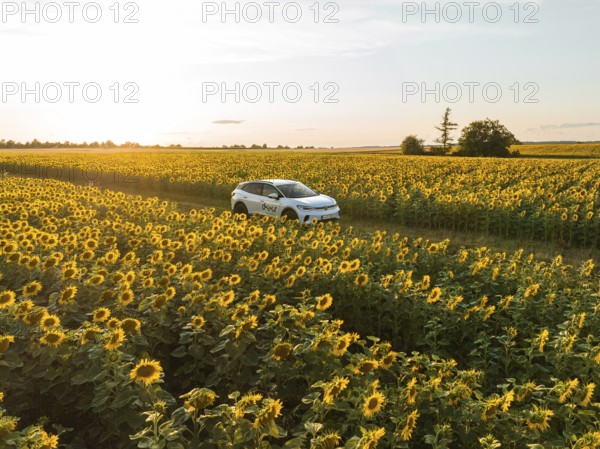 Vehicle driving through a lush sunflower field under the soft evening light, VW ID4 electric car,