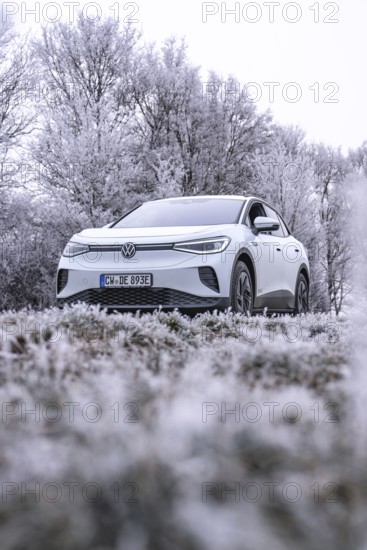 White car in frosty winter landscape with trees covered in hoarfrost, VW ID4 electric car, deer car
