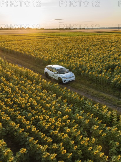 Car driving through a sunflower field at sunset, VW ID4 electric car, Deer Carsharing, Calw,