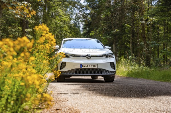 White Volkswagen on a road in the forest next to yellow flowers, VW ID4 electric car, Deer