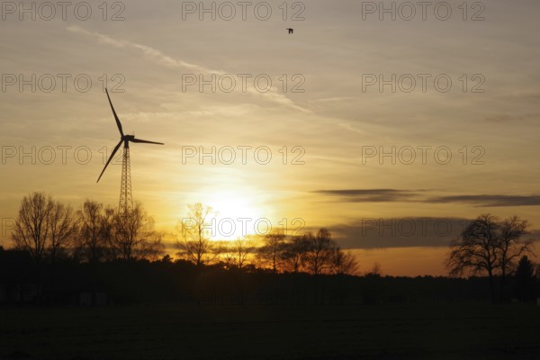 Landscape, wind generator, sunset, orange, atmospheric, winter, Germany, colorful sunset between