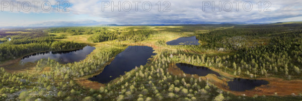 Panoramic view of lakes between forests and moors under cloudy sky, drone shot, aerial view,