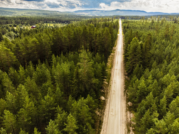 Aerial view of a long road through thick, green pine forest under blue, cloudy sky