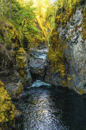 Englishman river falls cascades through a vibrant canyon, creating a picturesque scene of natural