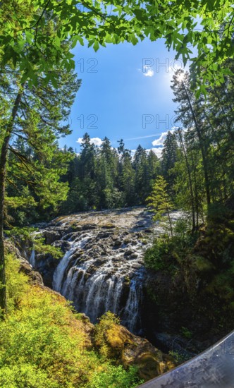 Cascading over rocks, englishman river falls creates a stunning spectacle amidst a vibrant green