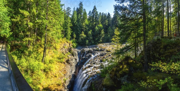 Englishman river falls cascades down a rocky gorge, surrounded by vibrant green forest and a
