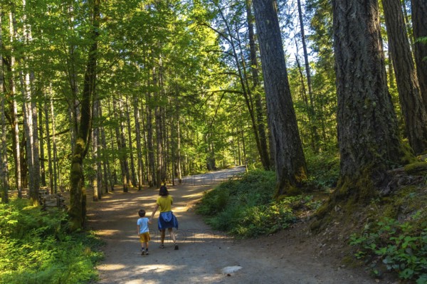 Mother and son enjoying a peaceful stroll along a serene forest path, surrounded by vibrant