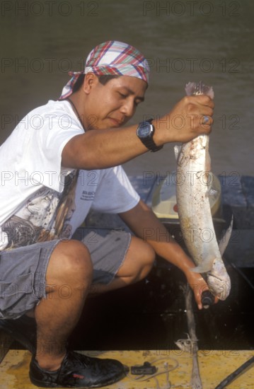 Man keeps a predatory fish caught in the Amazon, near Iquitos, Peru, South America, September 1997,