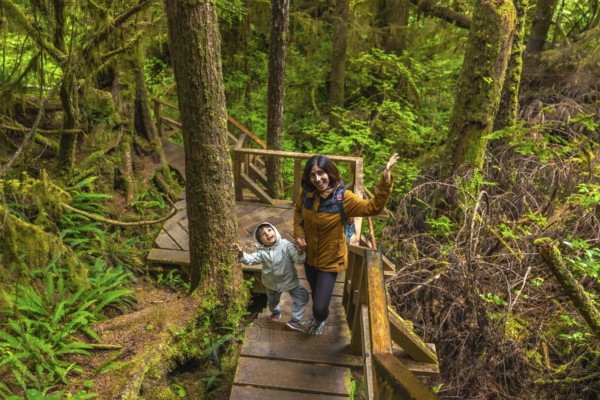 Tourists enjoying walking on wooden pathway through lush green rainforest in ucluelet on vancouver
