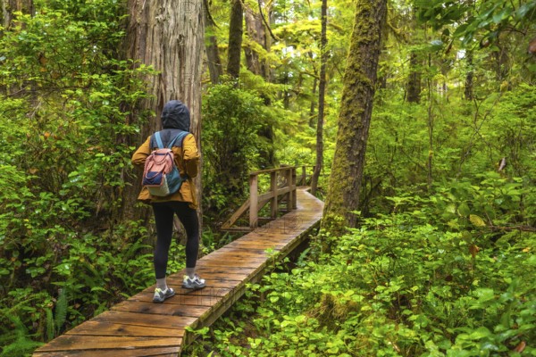 Female tourist wearing a yellow jacket and backpack walking on a wooden path enjoying the