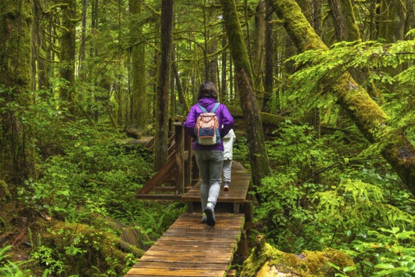 Two tourists with backpacks hiking along a wooden boardwalk trail in a lush ucluelet rainforest,
