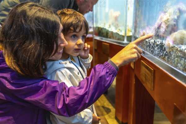 Mother pointing at fish tank, sharing educational moment with her son at the aquarium, fostering