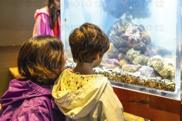 Mother and her son are captivated by the wonders of the ocean, observing a diverse array of marine