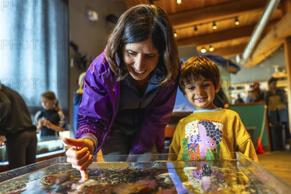 Mother pointing at sea creatures in touch tank, sharing educational moment with her son at the