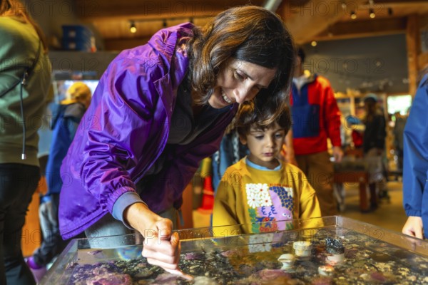 Mother pointing at marine life in a touch tank, sharing an educational moment with her son at an