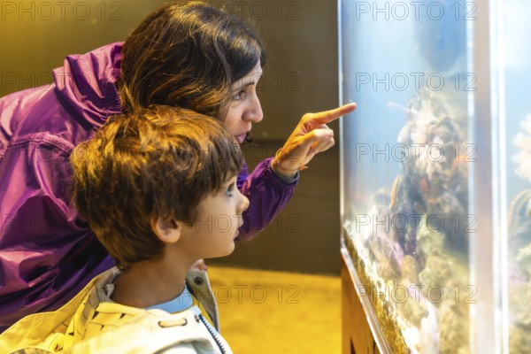 Mother pointing at fish in large aquarium tank, sharing educational moment with her son, promoting