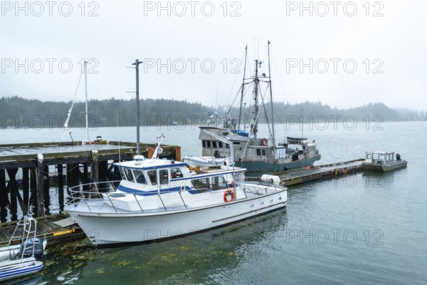 Fishing boats and various vessels moored at a pier on a foggy day, creating a tranquil and