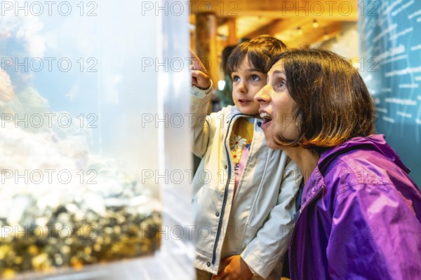 Mother and child are captivated by the underwater world, pointing at colorful fish swimming in a