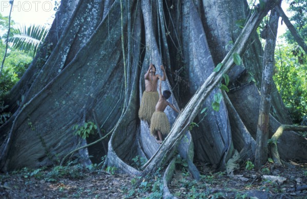 Two boys from a Yagua tribe living near Iquitos on the Amazon use the lianas of a giant tree as a
