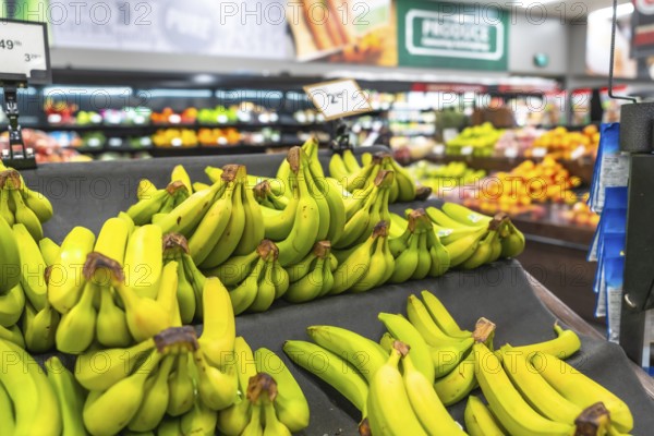 Bunches of vibrant green bananas are neatly arranged on a dark cloth, creating an abundant display
