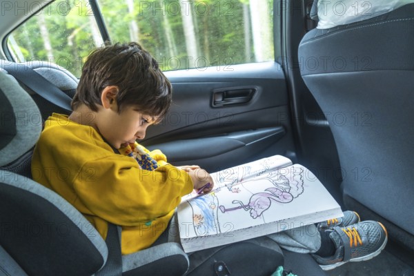 Young boy concentrating on coloring a flamingo in a book while secured in a car seat during a road