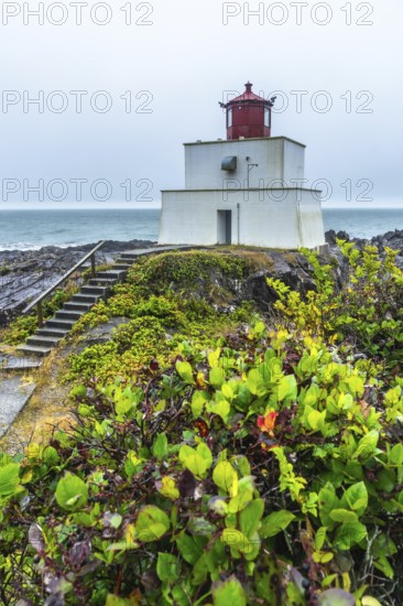 White lighthouse with a striking red top rising from a rocky shore, surrounded by lush green