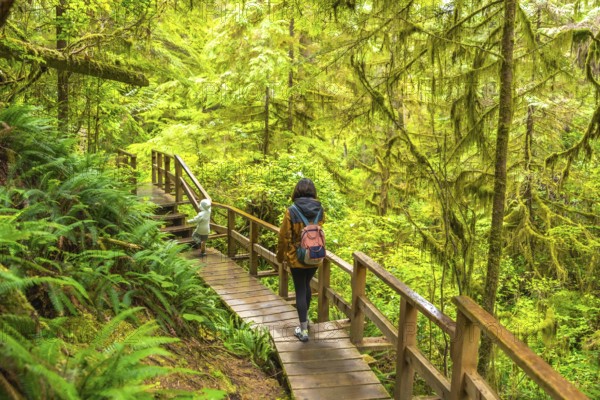 Mother and child enjoying a hike, walking on a wooden path through a lush rainforest in ucluelet, a