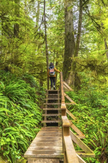 Female hiker with backpack ascending wooden stairs on a lush rainforest trail in ucluelet,