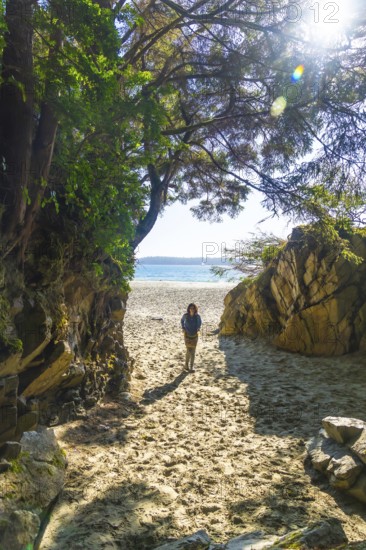 Sun shining through trees on tourist walking on sandy path leading to beach on beautiful summer day