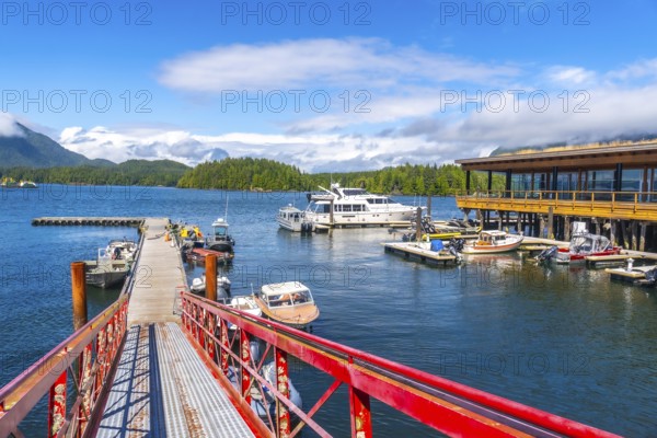 Red pier leading to a marina full of boats with a building on stilts over the water in tofino,