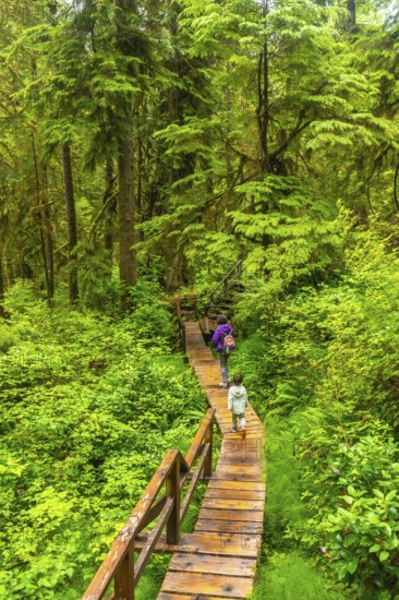 Tourists walking on a wooden boardwalk trail through lush rainforest in ucluelet on vancouver