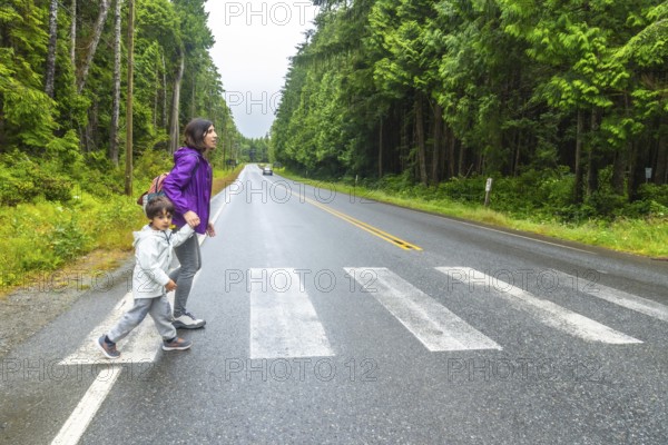Mother and son crossing a paved road at a pedestrian crossing in a lush rainforest near ucluelet on