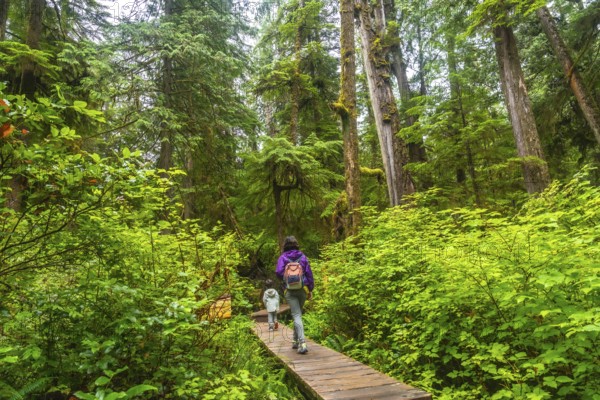 Tourists enjoying a leisurely walk along a wooden boardwalk through a lush rainforest trail near