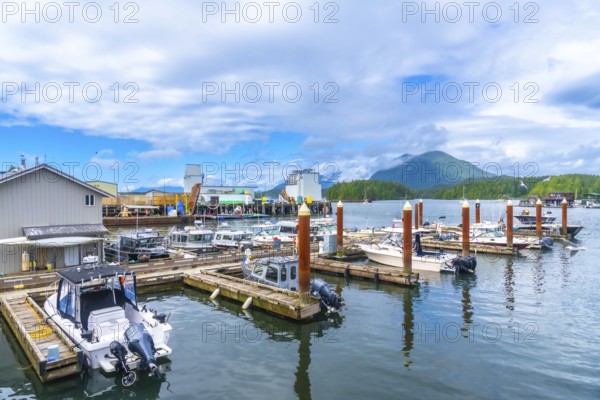 Fishing boats and yachts are docking at a pier in tofino, a small district municipality on the west