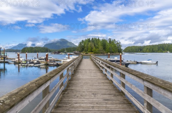 Long wooden pier leading to a small forested island in tofino harbor, vancouver island, british