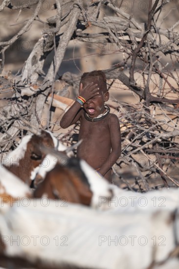 Himba child hits himself on the head, funny, goat herd, traditional Himba village, Kaokoveld,