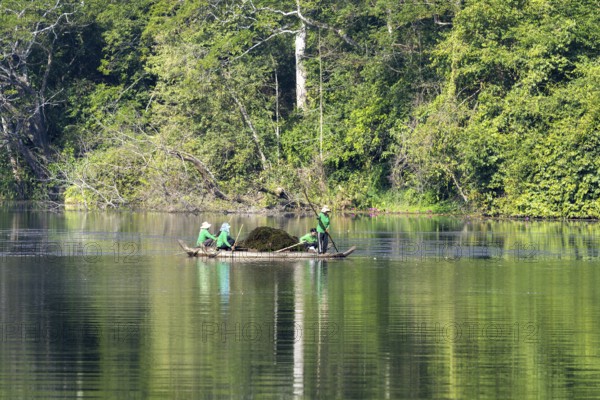 Women harvest seagrass, water channel in Angkor Thom, UNESCO World Heritage Site, Siem Reap,