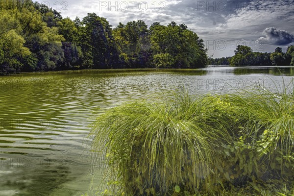Idyllic lake (De Wittsee) with surrounding trees and reflecting water under a cloudy sky, Nettetal