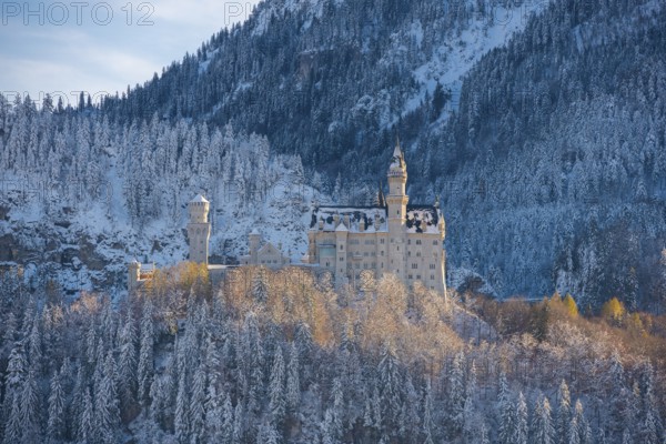 Historic Neuschwanstein Castle in winter, nestled in an idyllic, snow-covered mountain landscape,