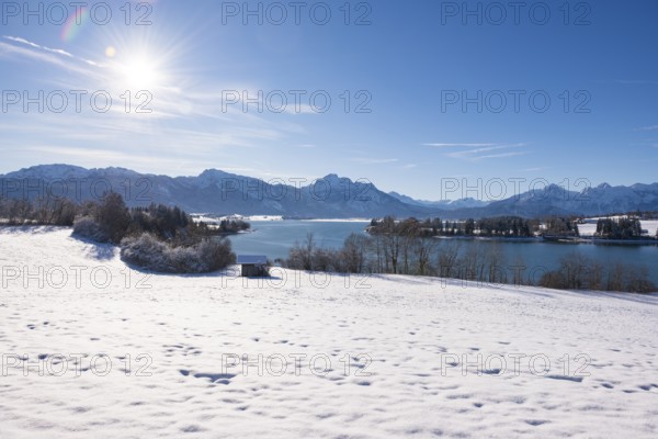 Winter landscape with a snowy field and a sunny sky over a quiet lake, Forggensee near Roßhaupten,