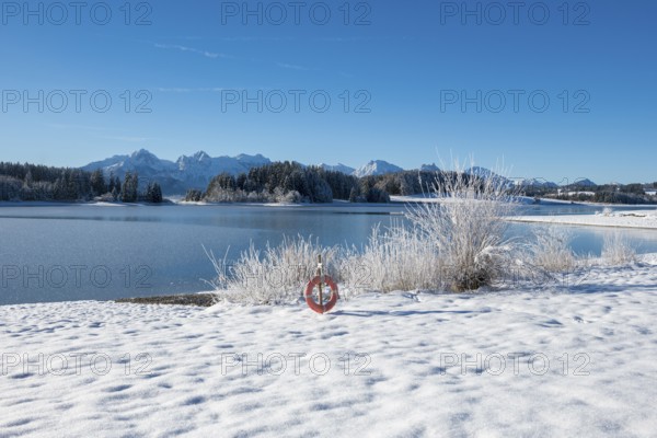 Snow-covered shore with view of snowy mountains through clear sky, Forggensee near Roßhaupten,