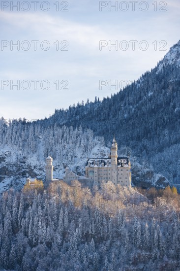 Majestic Neuschwanstein Castle in winter surrounded by snow-covered forest and mountain landscape,